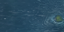 5:81