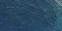 5:83