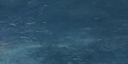 11:80