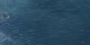 11:81