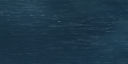 20:95