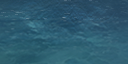 23:95