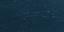 19:98