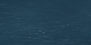 20:97