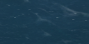 21:102