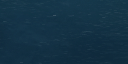 21:104
