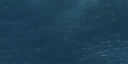 24:103