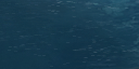 26:104