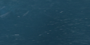 28:102