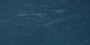 29:101